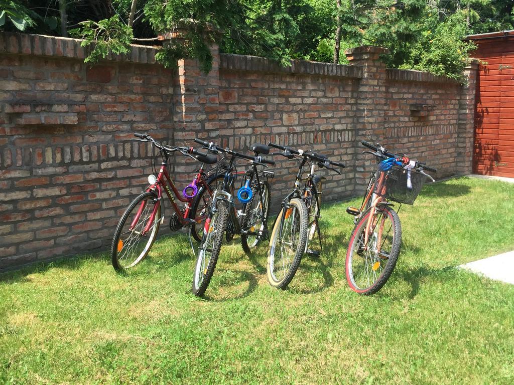Cherry Apartmanhaz Sarvar Bagian luar foto