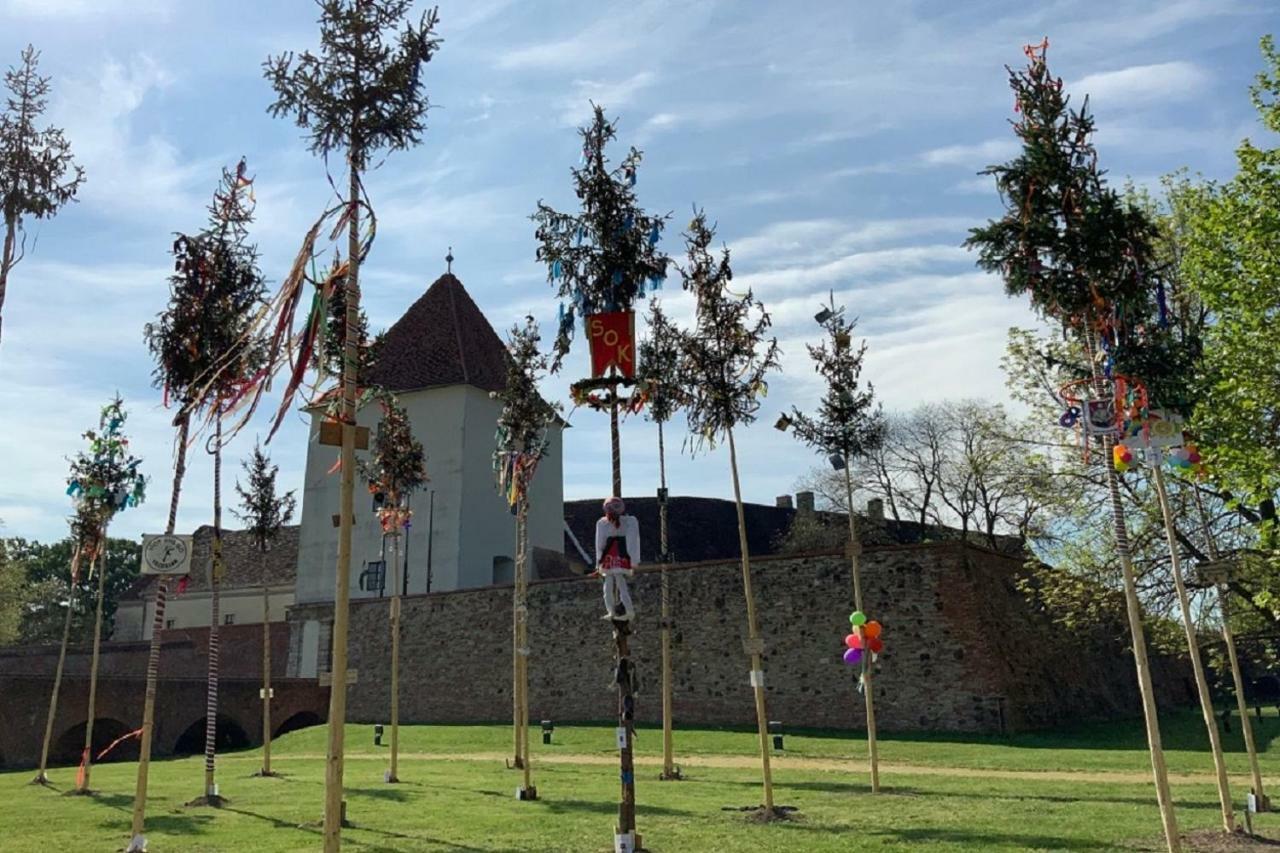 Cherry Apartmanhaz Sarvar Bagian luar foto